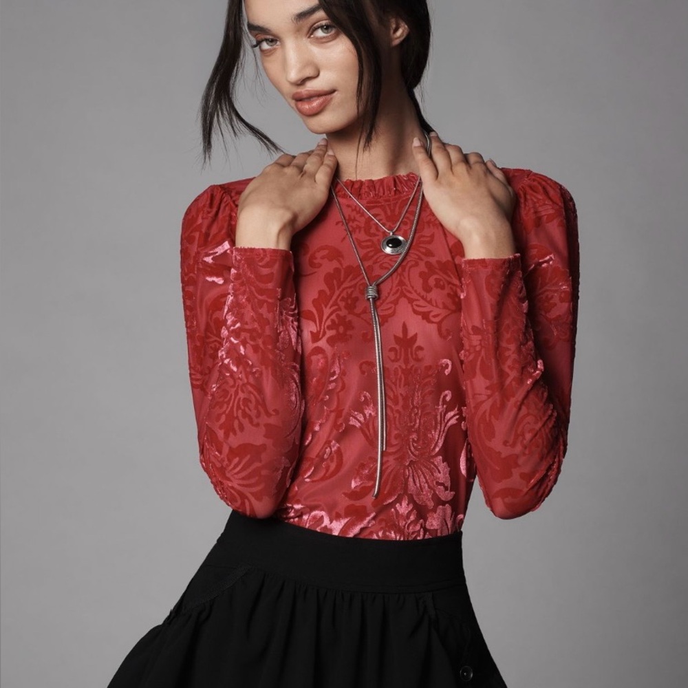 Anthropologie Sheer Velvet Burnout Top
